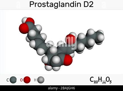 Prostaglandina D2 , PGD2 , prostaglandina, molecola C20H32O5. Modello molecolare. Rendering 3D Foto Stock