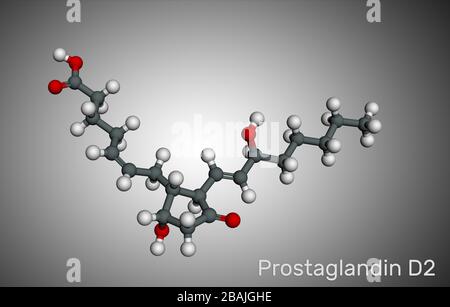 Prostaglandina D2 , PGD2 , prostaglandina, molecola C20H32O5. Modello molecolare. Rendering 3D Foto Stock