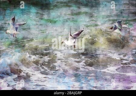 Illustrazione digitale di tre gabbiani che volano sulle onde del mar baltico alla ricerca di cibo. Colori dell'acqua. Foto Stock