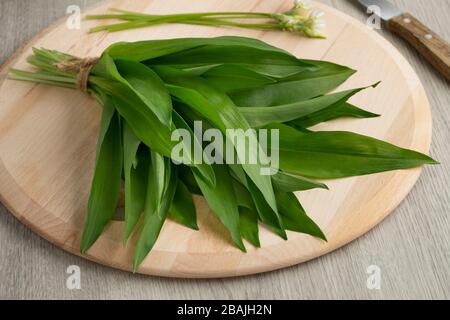 Fresco raccolto mazzo di ramsons foglie su un tagliere Foto Stock