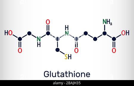 Molecola di glutatione, GSH, C10H17N3O6S. È un importante antiossidante nelle piante, negli animali e in alcuni batteri. Formula chimica strutturale. Illus vettore Illustrazione Vettoriale