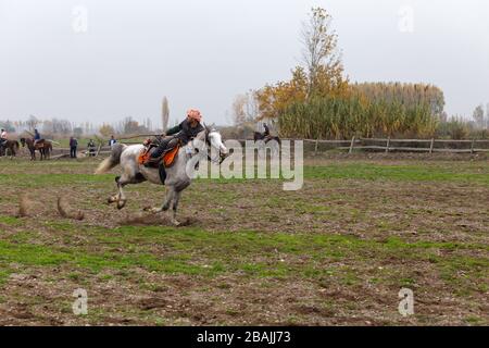 Sindirgi, Balikesir/Turkey - 15/11/2015: Partita di giavellotto turco durante il Festival della cultura Etnospor Foto Stock