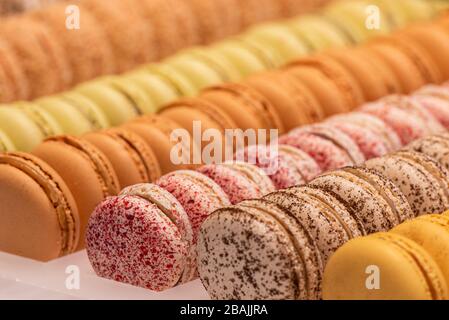 macaroni assortiti di vari sapori nella vetrina Foto Stock