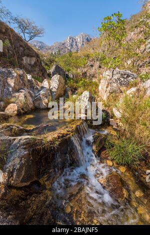 Un fiume che scorre nel Parco Nazionale Chimanimani dello Zimbabwe. Foto Stock