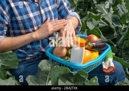 donna lavora in un campo agricolo e spalma le mani con crema solare. su un giro donna un cesto con verdure e un tubo bianco con crema solare Foto Stock