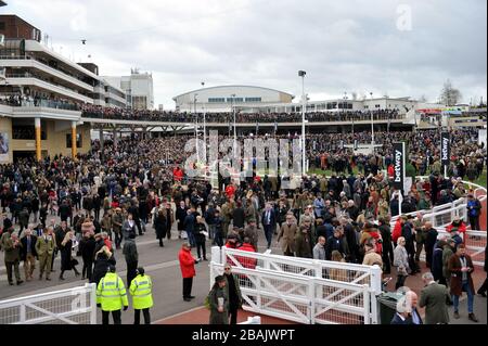 Le folle si riuniscono all'ippodromo di Cheltenham per il 2020 Festival delle corse, uno degli ultimi grandi incontri pubblici sotto la nube di coronavirus covid-19 Foto Stock