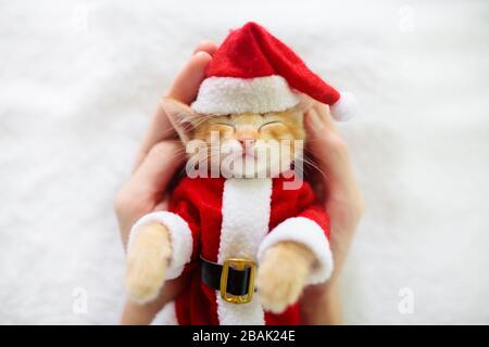 Gatto del bambino in costume di Natale e cappello di Santa. Gattino neonato che dorme sotto la coperta di lana. Accogliente giornata invernale di Natale con animali domestici a casa. Tempo NAP. Pre Foto Stock