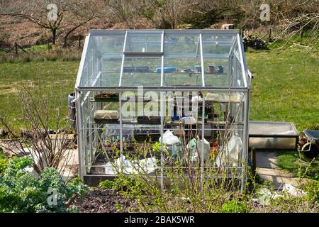 Vista esterna serra nel giardino di campagna primaverile con semi seminati in vassoi di semi all'interno nella rurale Carmarthenshire Galles UK KATHY DEWITT Foto Stock