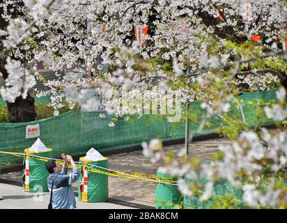 Tokyo, Giappone. 28 Marzo 2020. Un uomo scatta una foto alla strada dei ciliegi fioriti del parco Ueno di Tokyo, che è chiusa per vietare le feste di osservazione dei ciliegi in fiore a Tokyo, Giappone, sabato 28 marzo 2020. Il governatore di Tokyo Yuriko Koike ha chiesto ai residenti di rimanere a casa per aiutare a combattere la diffusione del Coronavirus, COVID-19. Foto di Keizo Mori/UPI Credit: UPI/Alamy Live News Foto Stock