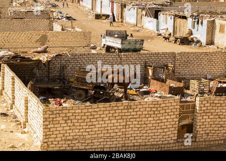 Animali nel Cestino del Cairo Foto Stock