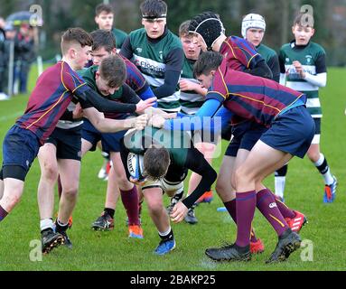 Azione da Ulster Schools gioco di rugby tra Foyle College e Campbell College, Derry, Irlanda del Nord. ©George Sweeney / Alamy Stock Photo Foto Stock