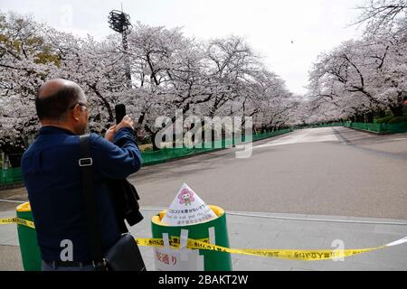 Tokyo, Giappone. 28 Marzo 2020. Un uomo prende le foto dietro una corda per tenere il pubblico lontano dagli alberi dei ciliegi nel Parco di Ueno. Il governatore di Tokyo Yuriko Koike ha chiesto ai residenti di astenersi da tutte le uscite non essenziali e non urgenti questo fine settimana, tra cui la visione dei fiori di ciliegi, in mezzo a un aumento dei casi di infezione da coronavirus a Tokyo. Credit: Rodrigo Reyes Marin/ZUMA Wire/Alamy Live News Foto Stock