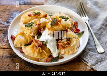 Tradizionale polacco pierogi con pancetta croccante e cipolla Foto Stock