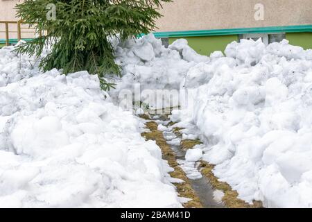 una grondaia che rimuove l'acqua di fusione dalla fondazione e le persiane dell'edificio è sgombrata di neve in primavera Foto Stock