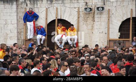 Festival di Ceri, 2010, Piazza Grande, Gubbio, Umbria, Italia. Foto Stock