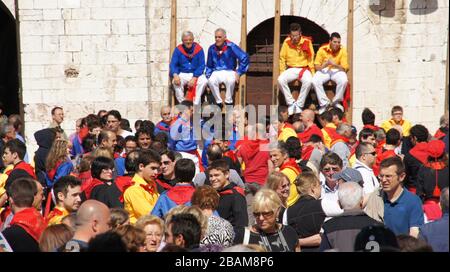 Festival di Ceri, 2010, Piazza Grande, Gubbio, Umbria, Italia. Foto Stock