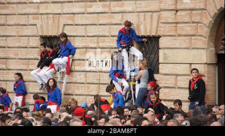 Festival di Ceri, 2010, Piazza Grande, Gubbio, Umbria, Italia. Foto Stock