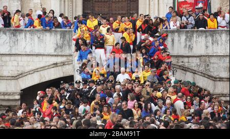 Festival di Ceri, 2010, Piazza Grande, Gubbio, Umbria, Italia. Foto Stock