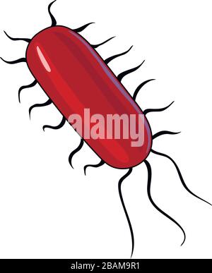 bacillus del colon. Tratto digestivo o canale alimentare che mostra batteri, germi o cellule virali. Illustrazione Vettoriale