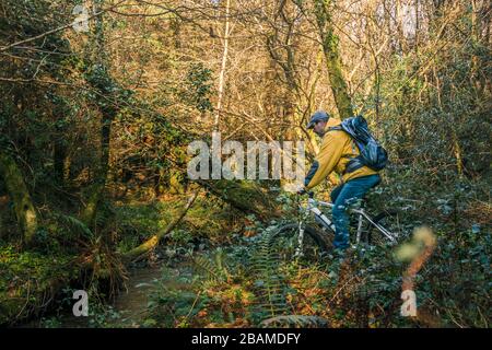 Ciclismo Irlanda. Ciclista prendere un po 'di tempo per rilassarsi, praticando distancing sociale durante la mattina presso i boschi locali durante la quarantena Covid-19. Foto Stock