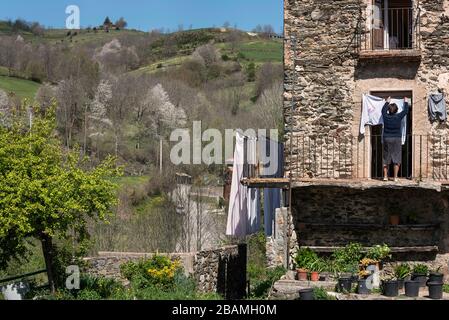 Molló, Ribollès, Catalogna, Europa Foto Stock