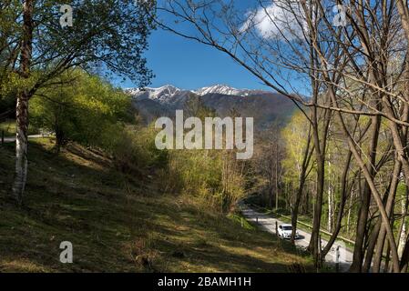 Camí de la Retirada de Molló a Prats de Molló pel Coll d'Ares, Catalogna, Europa Foto Stock