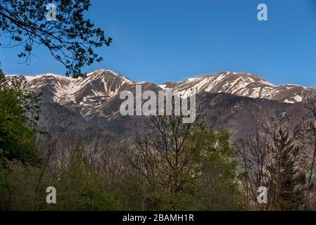 Camí de la Retirada de Molló a Prats de Molló pel Coll d'Ares, Catalogna, Europa Foto Stock