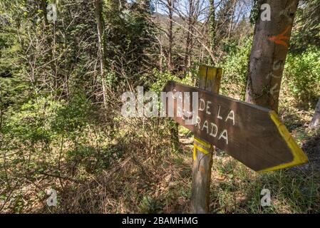 Camí de la Retirada de Molló a Prats de Molló pel Coll d'Ares, Catalogna, Europa Foto Stock