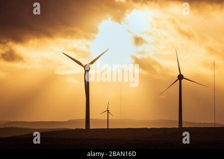 Mulini a vento in un campo al tramonto sullo sfondo del cielo drammatico. West Lothian, Scozia, Regno Unito Foto Stock