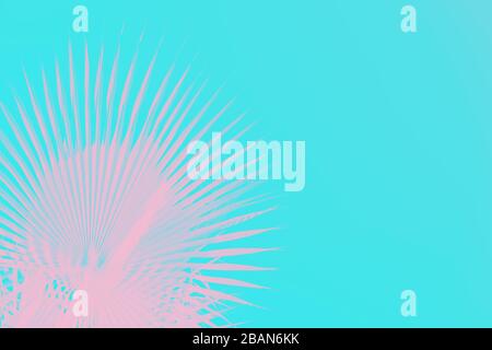 Foglie di palma rosa su sfondo turchese brillante. Concetto minimo. Spazio di copia Foto Stock