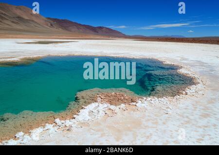 Belle lagune turchesi nelle vicine saline Tolar Grande, Salta, Argentina. Foto Stock