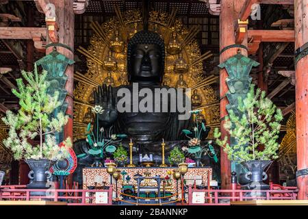 Il Grande Buddha (Daibutsu) nella sala principale del Tempio Todaiji, Nara, Giappone Foto Stock