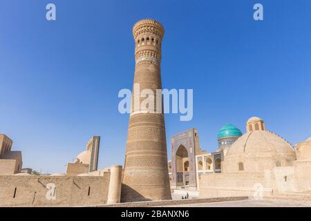 Il minareto di Kalon, e Madrasa Mir-i Arab, o Mir Arab Madrasa, Bukhara, Buchara, Uzbekistan, Asia centrale, Asia Foto Stock