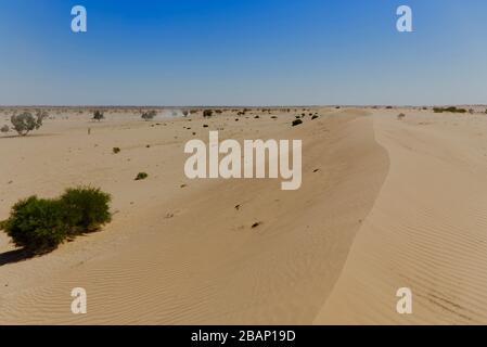 Le dune di sabbia bianca che si spostano circondano lo Strzelecki Track nell'entroterra settentrionale dell'Australia meridionale Foto Stock