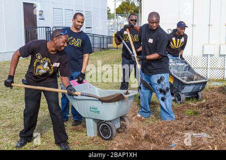 Miami Florida,Hands on HANDSON Miami MLK Day of Service,Martin Luther King Jr. Compleanno,Northwestern High School,campus,volontari volontari volontari Foto Stock