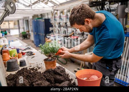 Berlino, Germania. 17 Marzo 2020. Max Wolf Waters piante in una serra della scuola di giardinaggio di August-Heyn come parte di un anno ecologico volontario. La più antica scuola di giardinaggio di Berlino esiste da 100 anni. Ogni anno avvicina la natura a circa 30,000 bambini. (A 'scuole di giardinaggio: Un pezzo di natura per i bambini della città') Credit: Carsten Koall/dpa/Alamy Live News Foto Stock