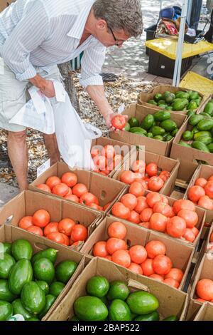 Miami Beach Florida,North Beach,Normandy Village Marketplace,vendita,vendita vetrina,shopping shopper shopping negozi mercato mercati Foto Stock