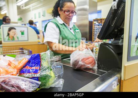 Miami Beach Florida, Publix, negozio di alimentari, supermercato, cibo, cassiere, check out, donna ispanica donne adulti adulti adulti, lavoratori dipendenti lavoro di lavoro del personale Foto Stock