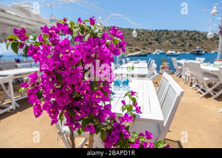 Ristorante sulla spiaggia in Gumusluk, bodrum, Turchia Foto Stock