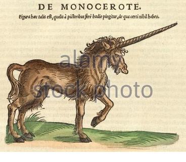 Unicorn, illustrazione vintage pubblicata nel 1551. Conrad Gessner. Foto Stock