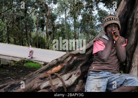 I bambini nella foresta di Eucalipto del Monte Entoto sopra Addis Abeba, Etiopia. Le foreste sacre dell'Etiopia del nord. Foto Stock