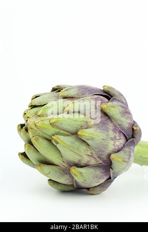 Composizione di freschi di carciofi isolato su sfondo bianco con spazio di copia Foto Stock