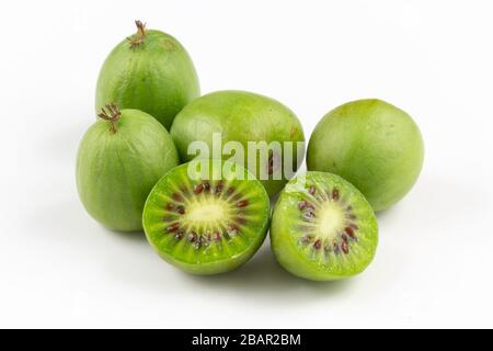 Composizione di hardy fresche kiwi isolato su bianco spazio di copia Foto Stock