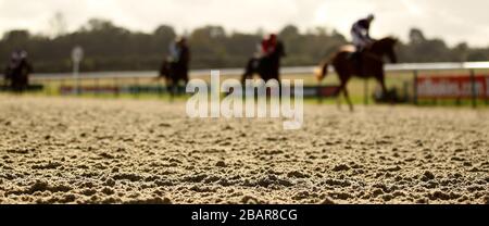 I corridori e i piloti salpano sul nuovo tracciato All Weather dell'ippodromo di Lingfield Park prima del primo incontro di gara in superficie Foto Stock