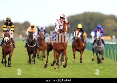 First Mohican e Tom Queally attraversano la linea nel Ryan's Event Cleaning supporting Horse Racing UK handicap Foto Stock