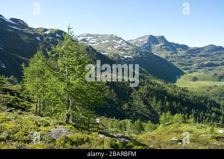 scendendo da sirwoltesattel al passo del sempione in svizzera Foto Stock