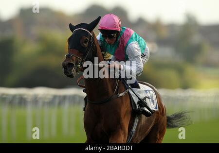 Panzanella guidata dal fantino William Buick vince il Dormouse Maiden Stakes a Leicester Racecourse Foto Stock