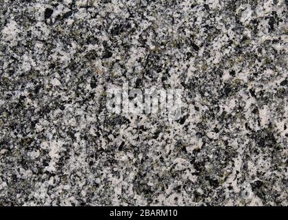 Roccia di granito magmatica naturale grani punteggiati texture con minerali bianchi e neri Foto Stock