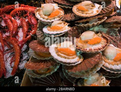 Coquille St Jacques in vendita al mercato del weekend Bastille, Parigi, Francia Foto Stock