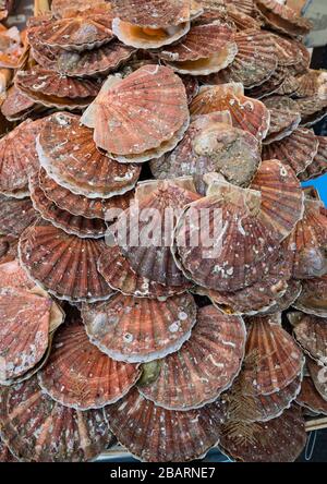 Ostriche in vendita al mercato del weekend della Bastiglia, Parigi, Francia Foto Stock